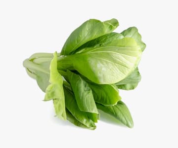 Bok Choy
