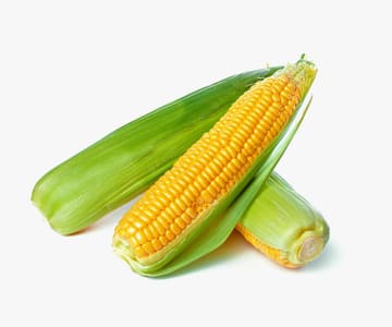 Corn