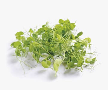 Cress Peas