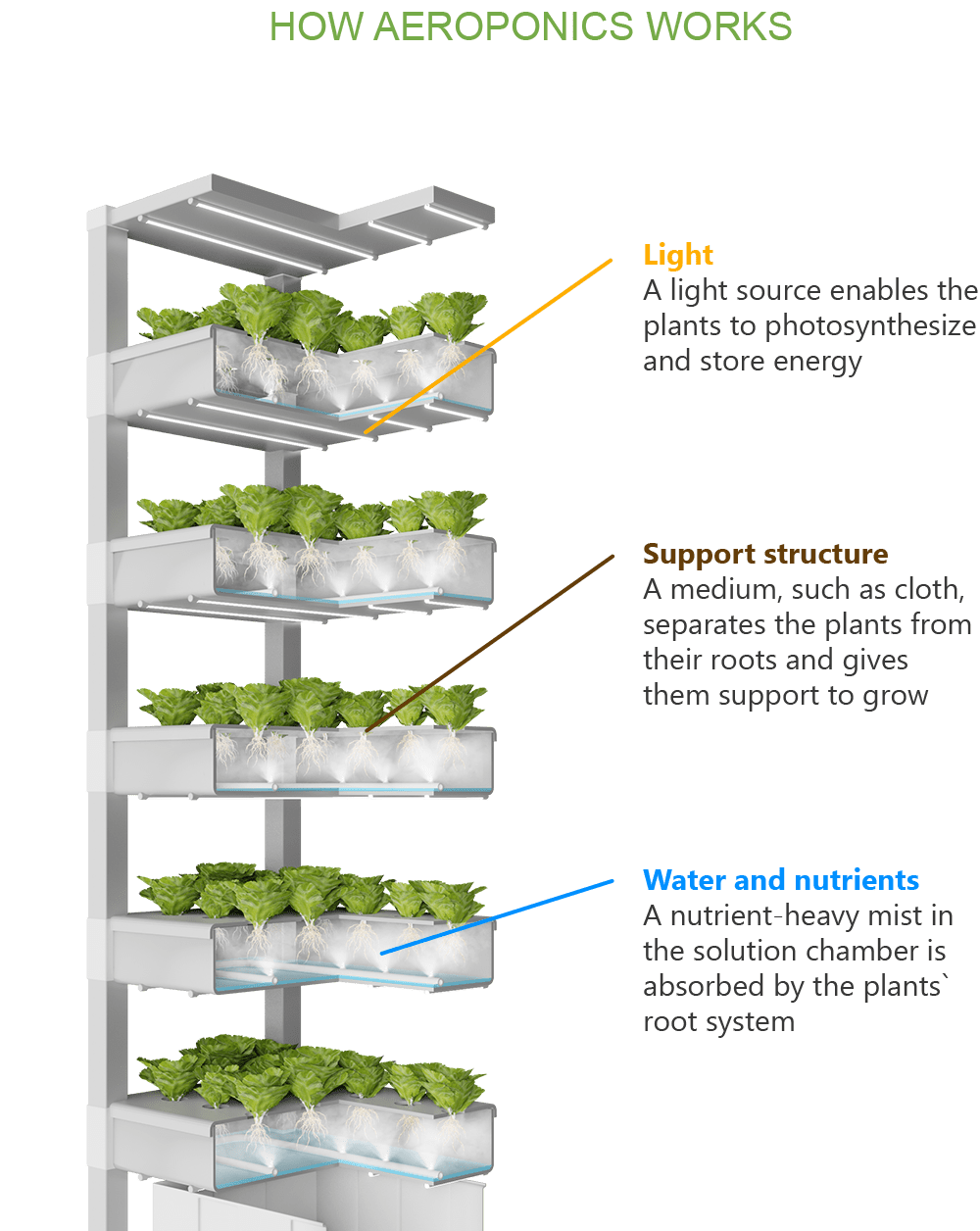 How aeroponics works