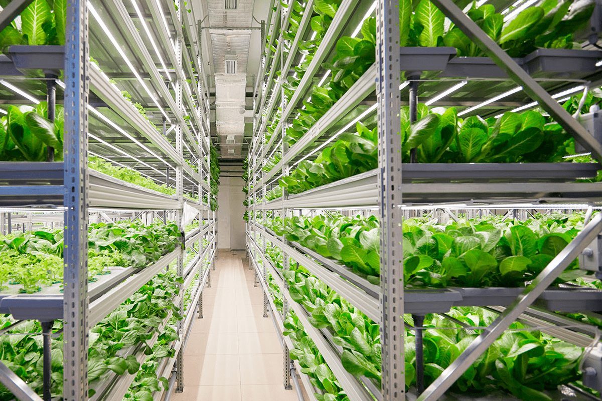 spacefarm-aeroponic-and-hydroponic-vertical-farms-around-the-world