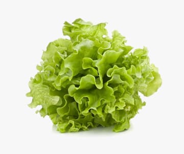 Lettuce