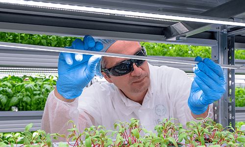 exclusive vertical farms