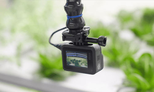 exclusive vertical farms