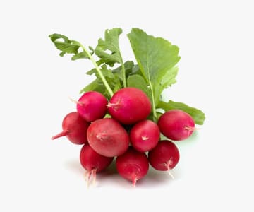 Radish