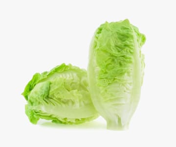 Romaine